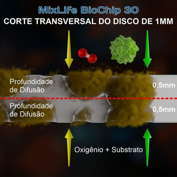 profundidade de difusao fig2 Biomídia MBBR