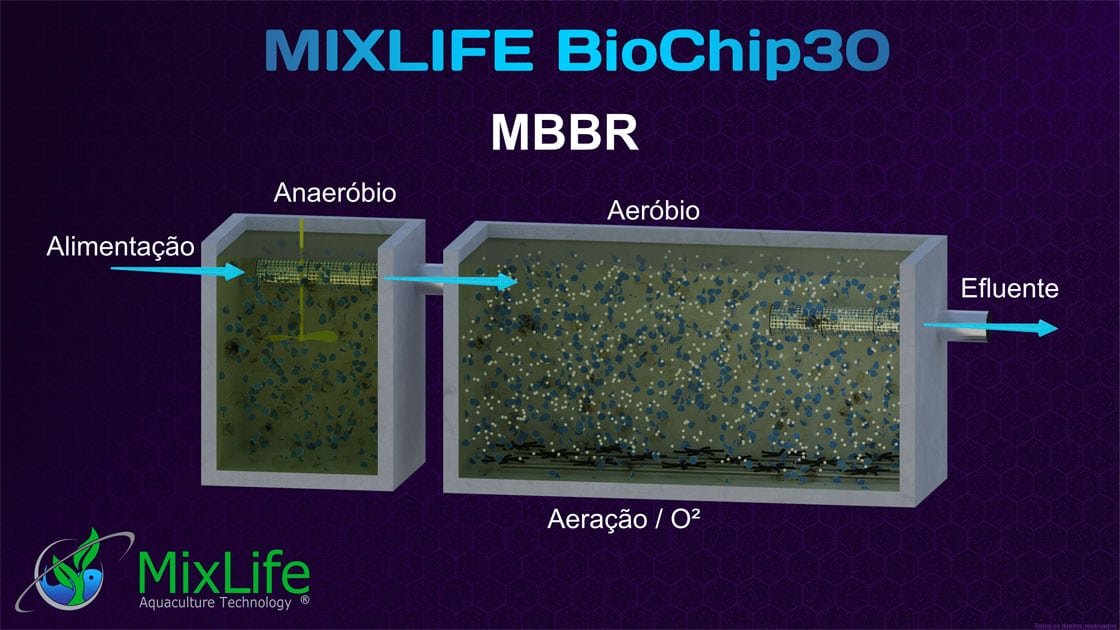 Grafico processo MBBR Biomídia MBBR