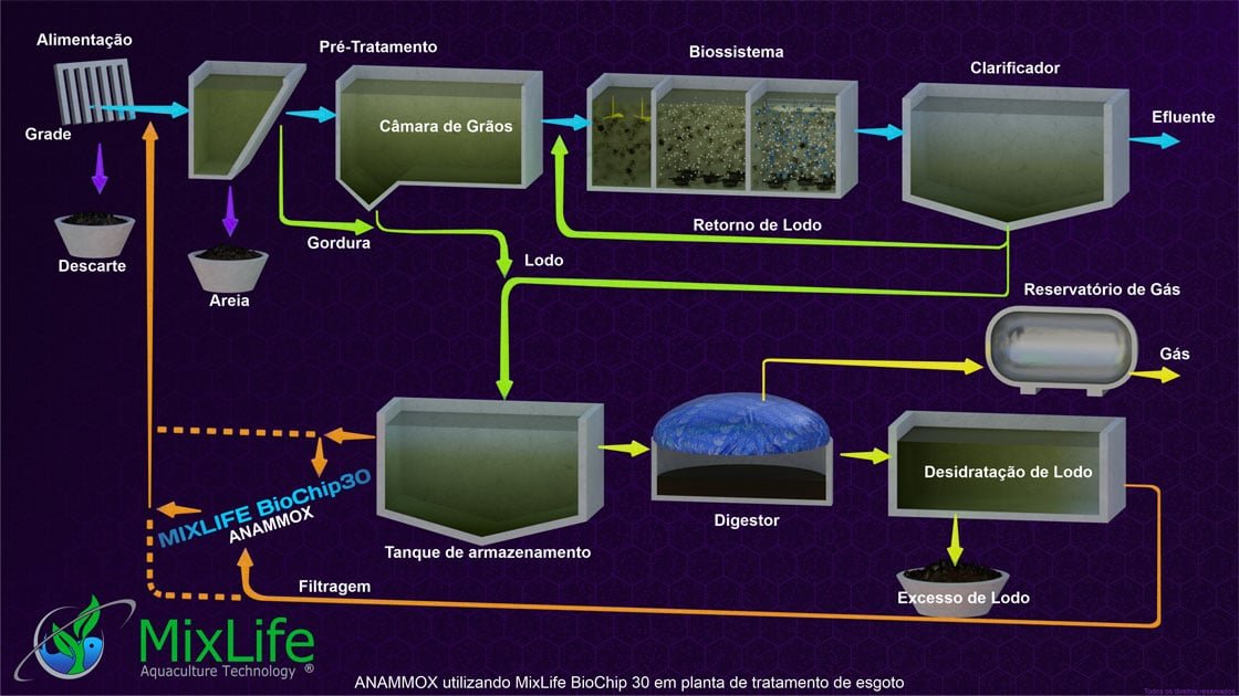 Grafico processo anammox Biomídia MBBR