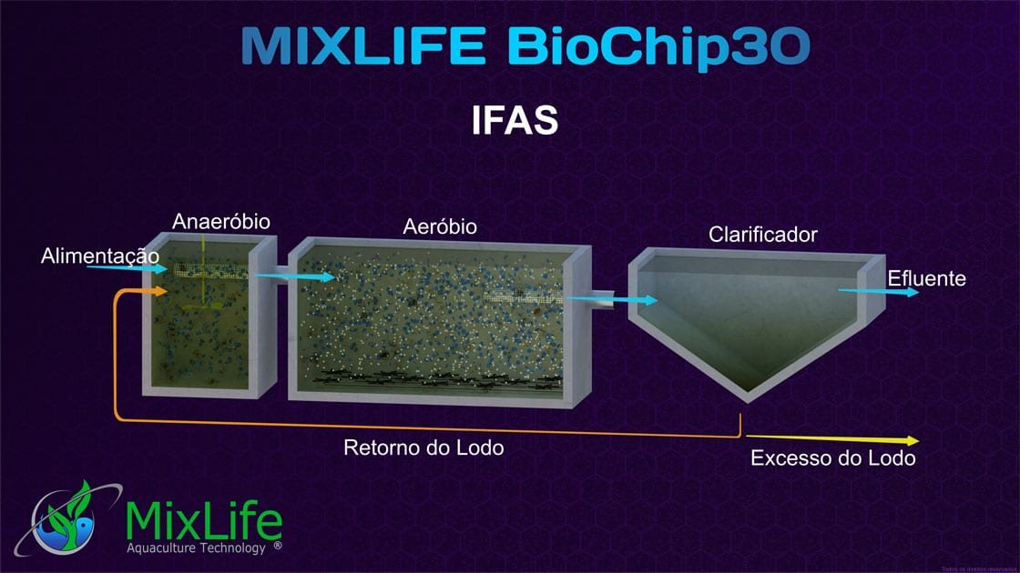 Grafico processo ifas Biomídia MBBR