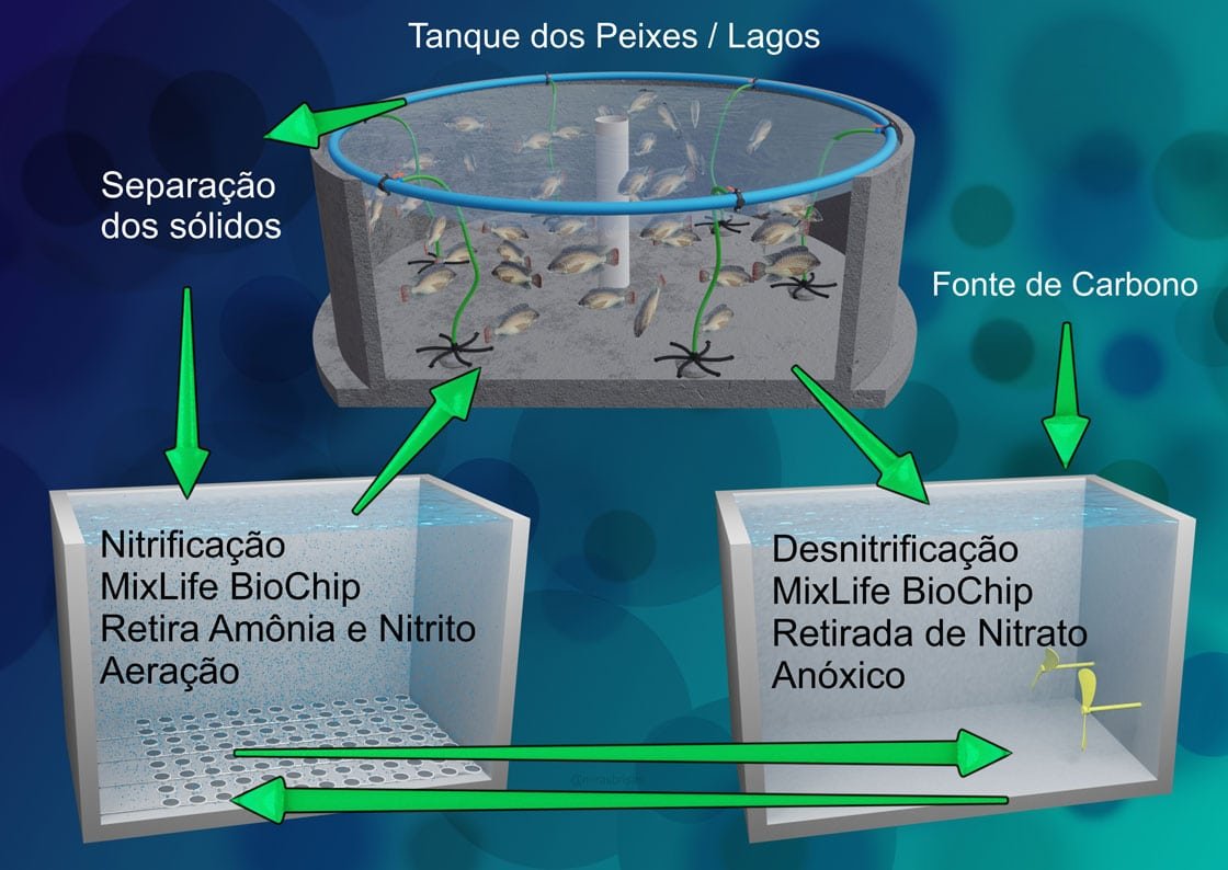 MixLife Biochip na Aquicultura RAS Biomídia MBBR