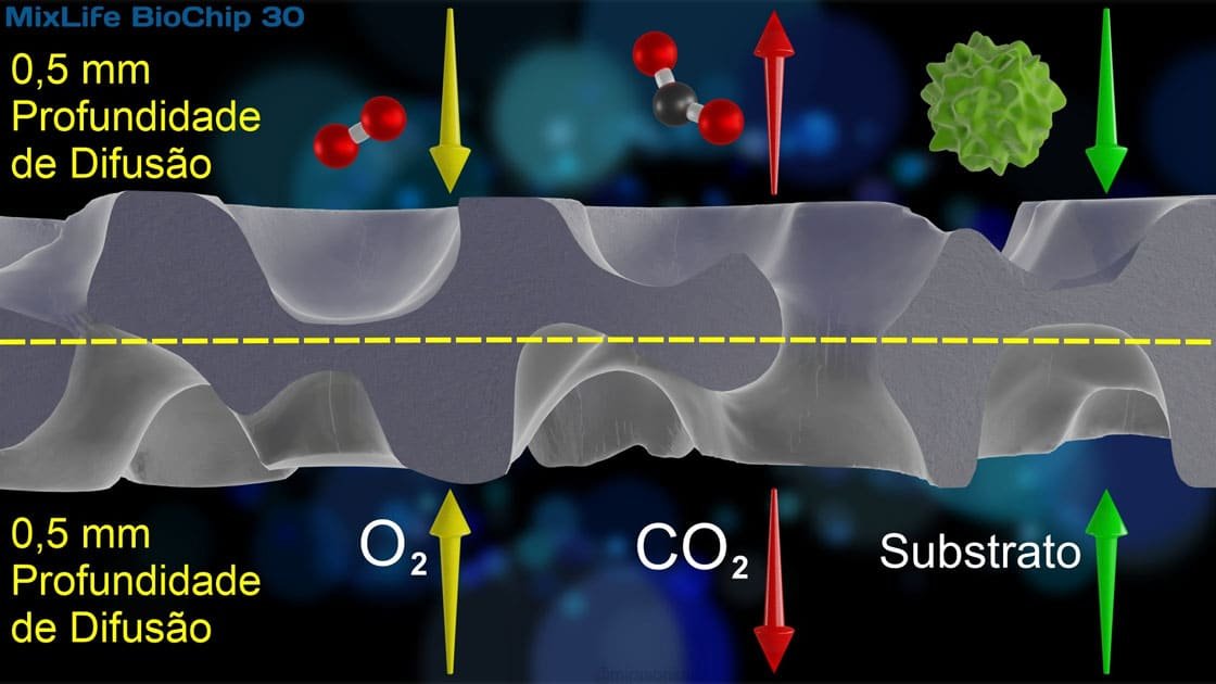 Ilustração da profundidade de difusão na MixLife BioChip 30 Biomídia MBBR
